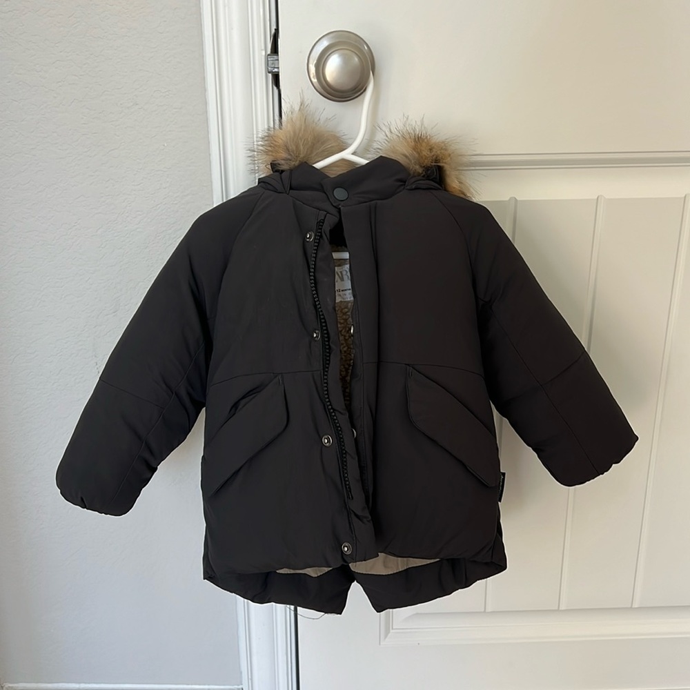 Zara Jacket size 9-12 months